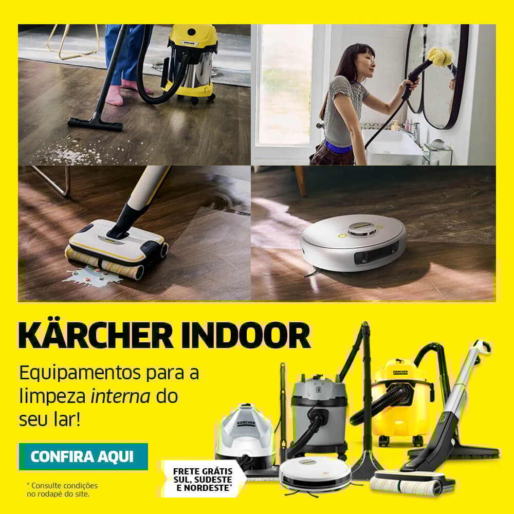 Limpeza Interna