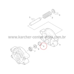 Anel Raspador Karcher HD