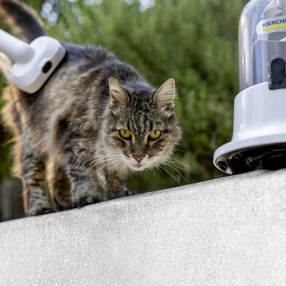 Aspirador Tosador e Desembaraçador Karcher Pet Clean - Imagem principal - 125335fa-4819-450d-8822-079609142cce