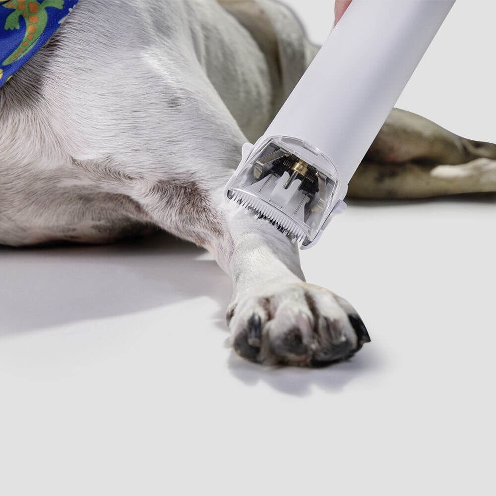 Aspirador Tosador e Desembaraçador Karcher Pet Clean - Imagem principal - 51a7b324-8877-44d7-a9e1-e07f4756ce99