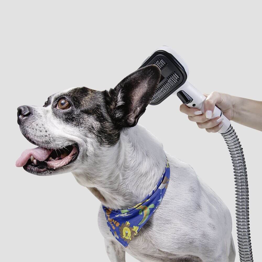 Aspirador Tosador e Desembaraçador Karcher Pet Clean - Imagem principal - d98766b6-6f96-4faa-ba99-204fa8cb6b3e