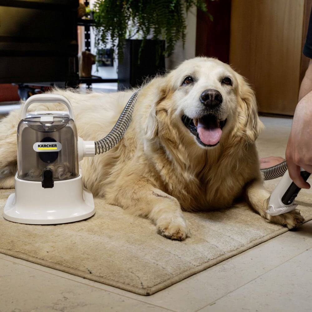 Aspirador Tosador e Desembaraçador Karcher Pet Clean - Imagem principal - 6882a951-d5dd-4562-aa34-a37ef146b5aa