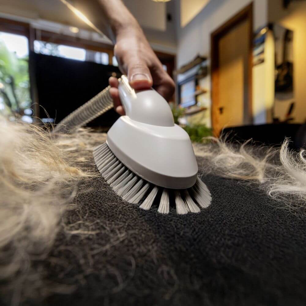 Aspirador Tosador e Desembaraçador Karcher Pet Clean - Imagem principal - b043bc45-f770-4bb2-8524-65cf3affb4b4