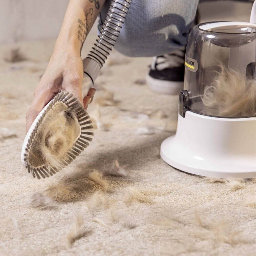 Aspirador Tosador e Desembaraçador Karcher Pet Clean - Imagem principal - 18c94c99-895e-45ac-ab25-cff79f10f8a1