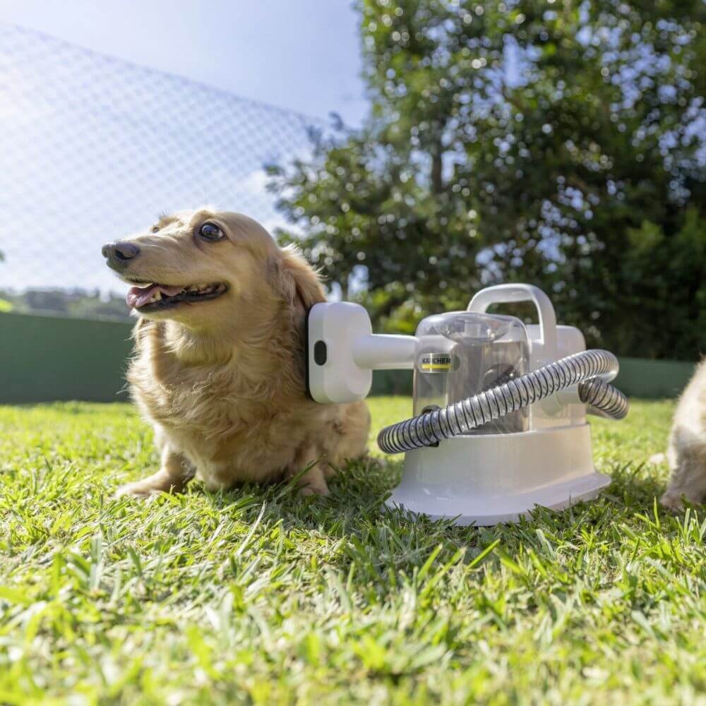 Aspirador Tosador e Desembaraçador Karcher Pet Clean - Imagem principal - fed57d56-8e2a-4f47-8fc3-d93f6eab752c
