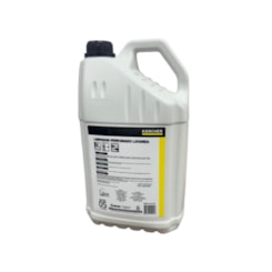 Detergente Limpador Perfumado Karcher RM 10 Lavanda - 5 Litros