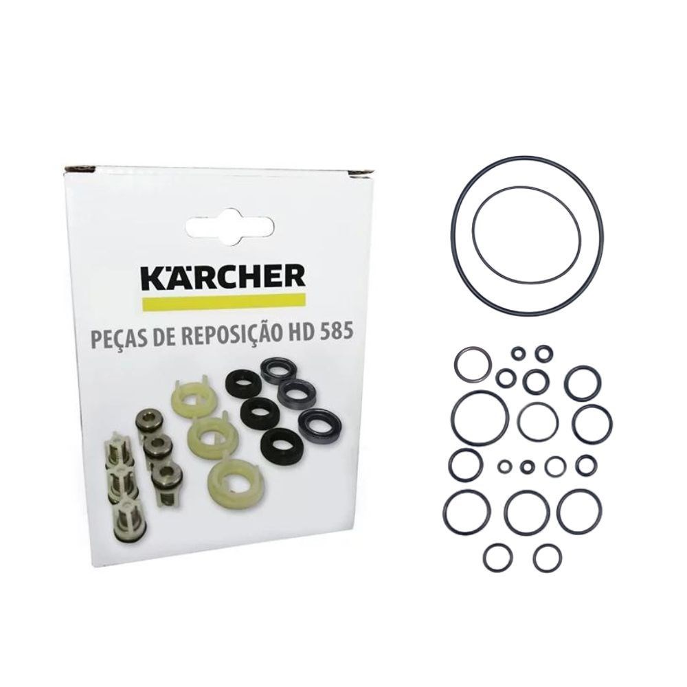 Kit Reparo Da Bomba + Kit O-rings Para Lavadora Karcher HD 585 e HD 555 - Imagem principal - deea1f69-4871-4c70-a51e-a708e9c1edd2