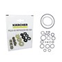 Kit Reparo Da Bomba + Kit O-rings Para Lavadora Karcher HD 585 e HD 555 - a57a8f80-59e4-40b5-a725-5281063e5c8c